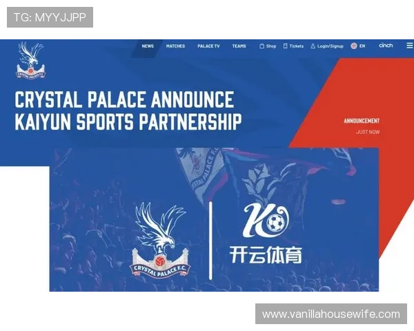 开云体育VIP如何快速升级成为高端玩家提升游戏竞争力 开云体育VIP如何快速升级成为高端玩家提升游戏竞争力