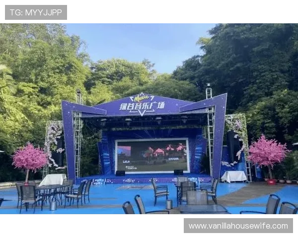 星空体育网址助力体育迷实现高清直播观看体育赛事的梦想