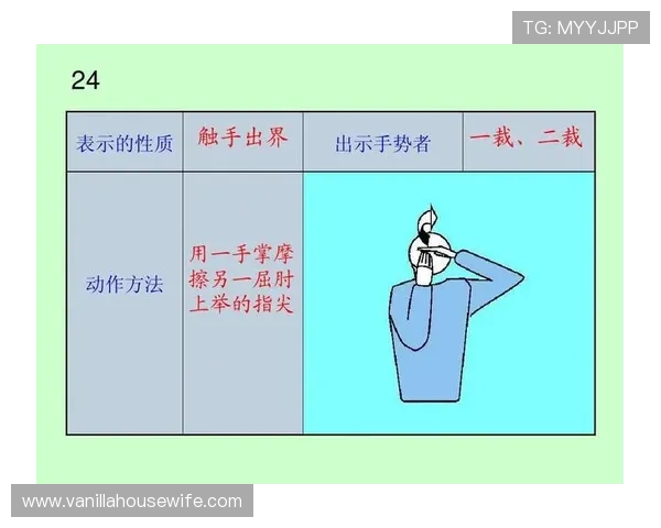 体育投球赛中常见的规则与裁判标准,帮助参赛者全面理解比赛规范与评分体系 体育投球赛中常见的规则与裁判标准,帮助参赛者全面理解比赛规范与评分体系